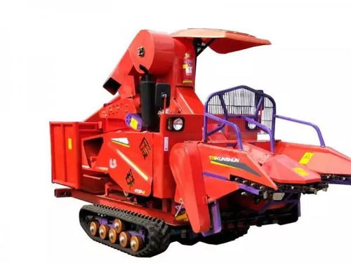 2019年兩行玉米收 熱銷產品及銷售區域盤點