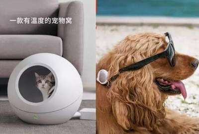 趣宅智能寵物生態(tài) 鏟屎官的全屋智能家居福音